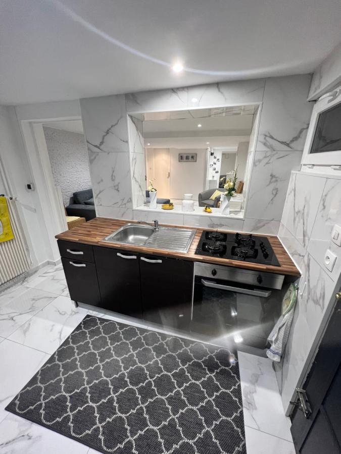 Appartement Proche Marche De Noel De Strasbourg Wolfisheim Екстериор снимка